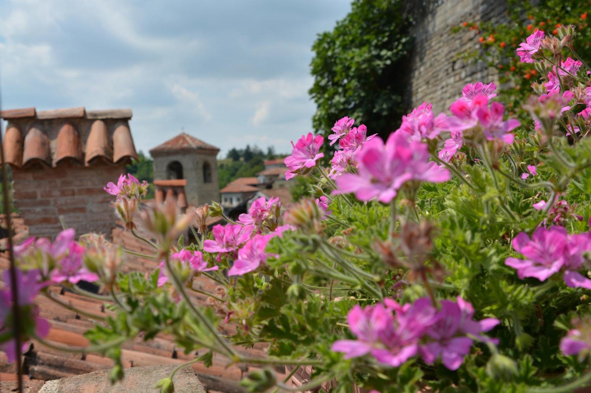 Dimora Storico Romantica Il Sole E La Luna Cerretto Langhe Buitenkant foto